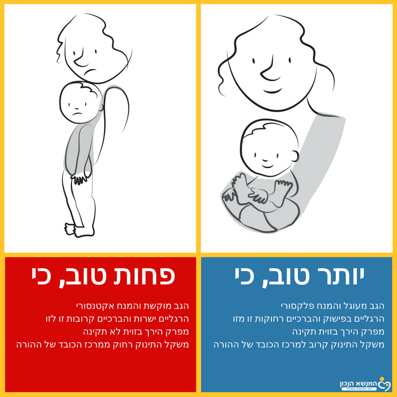 איור הממחיש את ההבדל בין תנוחת לוטוס לנשיאה עם הפנים החוצה