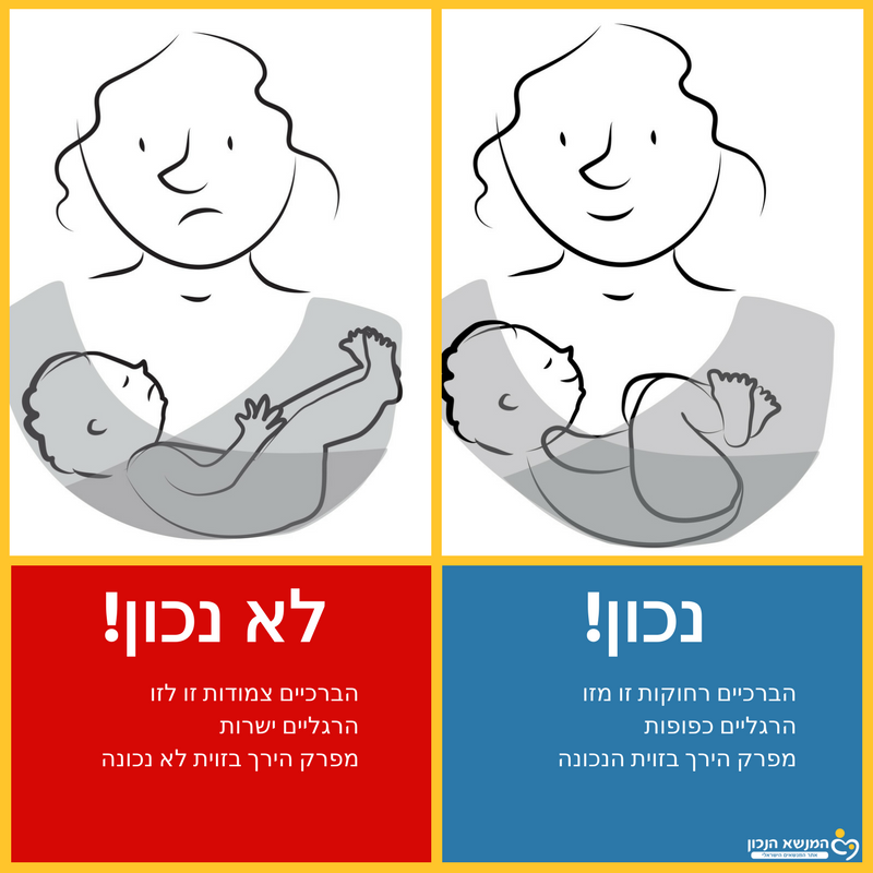 איור של ערסול נכון ולא נכון