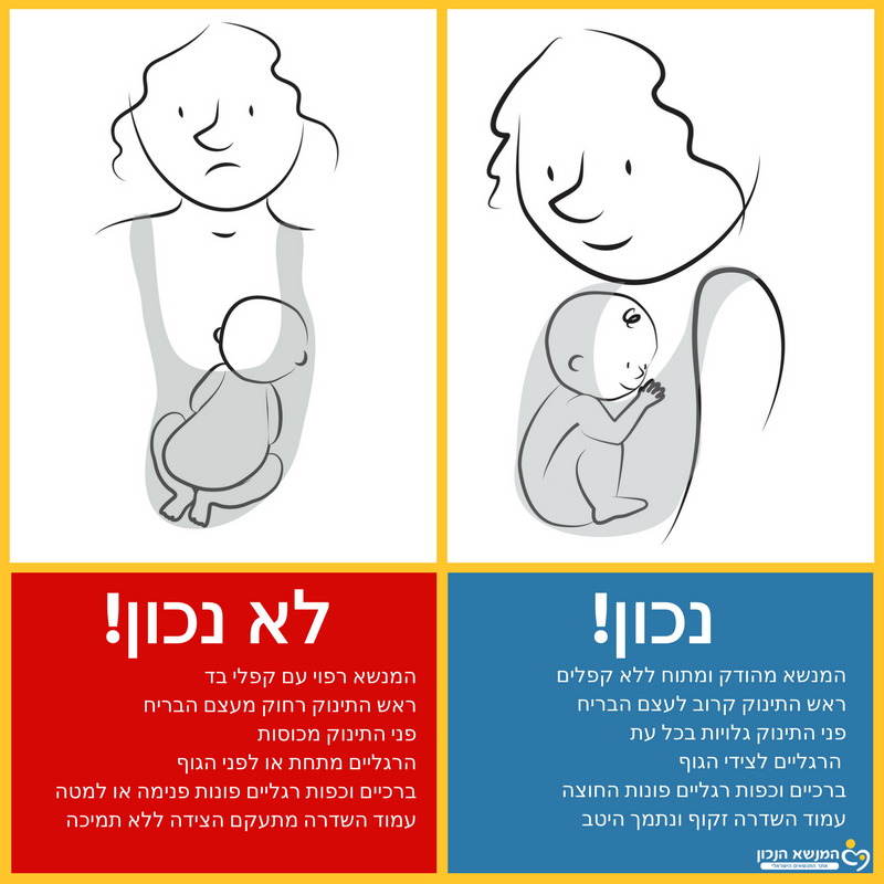 איור של תנוחת רגלי צפרדע במנשא נכונה ושגויה
