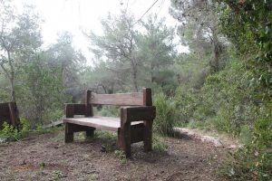 שבילי רון- המלצה לטיול עם מנשא