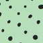 טולה היברידי mint chips