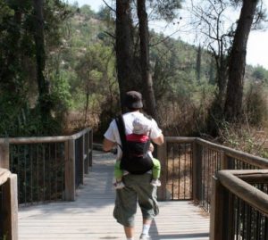 טיפים לטיול עם תינוק